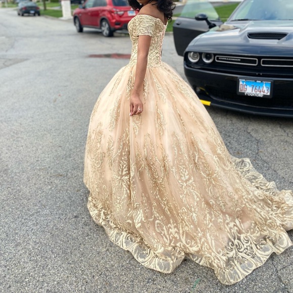 Prom Gown, Quinceañera Gown, Wedding Gown, Cosplay Gown or Ball Gown - Picture 4 of 14